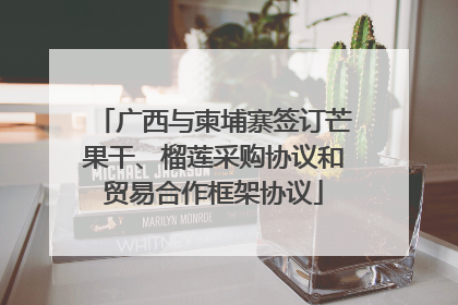 广西与柬埔寨签订芒果干、榴莲采购协议和贸易合作框架协议