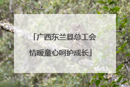 广西东兰县总工会情暖童心呵护成长
