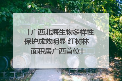 广西北海生物多样性保护成效明显 红树林面积居广西首位
