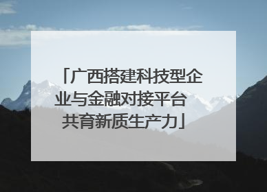 广西搭建科技型企业与金融对接平台 共育新质生产力
