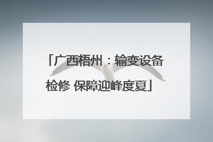 广西梧州：输变设备检修 保障迎峰度夏