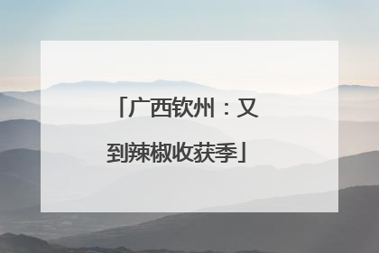 广西钦州：又到辣椒收获季