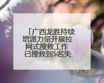 广西龙胜持续增派力量开展拉网式搜救工作 已搜救到5名失联人员
