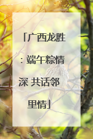 广西龙胜：端午粽情深 共话邻里情