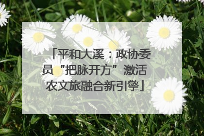 平和大溪：政协委员“把脉开方”激活农文旅融合新引擎