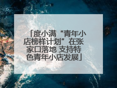 度小满“青年小店榜样计划”在张家口落地 支持特色青年小店发展