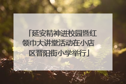 延安精神进校园暨红领巾大讲堂活动在小店区晋阳街小学举行