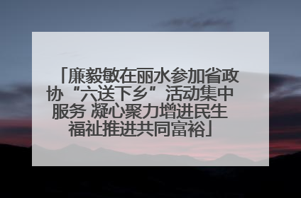 廉毅敏在丽水参加省政协“六送下乡”活动集中服务 凝心聚力增进民生福祉推进共同富裕