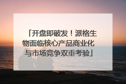 开盘即破发！派格生物面临核心产品商业化与市场竞争双重考验