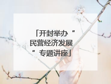 开封举办“民营经济发展”专题讲座