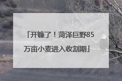 开镰了！菏泽巨野85万亩小麦进入收割期