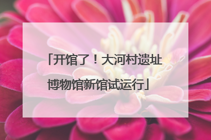 开馆了！大河村遗址博物馆新馆试运行