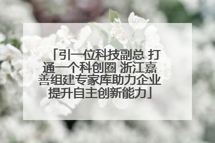 引一位科技副总 打通一个科创圈 浙江嘉善组建专家库助力企业提升自主创新能力