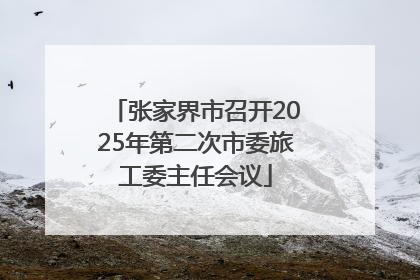 张家界市召开2025年第二次市委旅工委主任会议