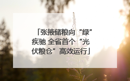 张掖储粮向“绿”疾驰 全省首个“光伏粮仓”高效运行