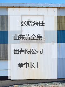张晓海任山东黄金集团有限公司董事长