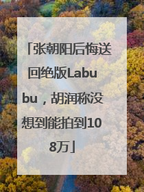 张朝阳后悔送回绝版Labubu，胡润称没想到能拍到108万