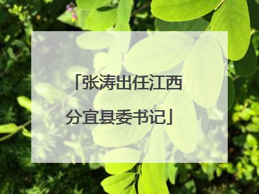 张涛出任江西分宜县委书记