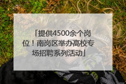 提供4500余个岗位！南岗区举办高校专场招聘系列活动