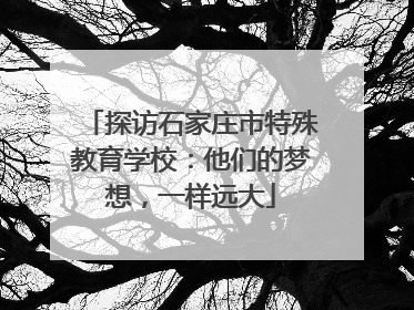 探访石家庄市特殊教育学校：他们的梦想，一样远大