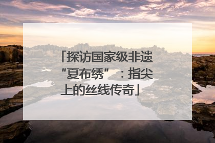 探访国家级非遗“夏布绣”：指尖上的丝线传奇