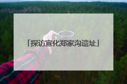 探访宣化郑家沟遗址