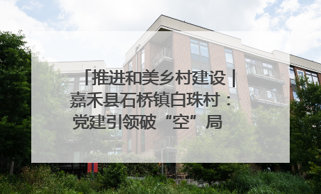 推进和美乡村建设｜嘉禾县石桥镇白珠村：党建引领破“空”局 乡贤聚力绘就新图景