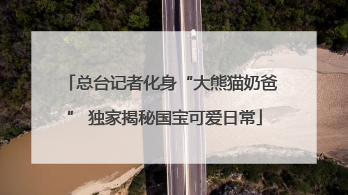 总台记者化身“大熊猫奶爸” 独家揭秘国宝可爱日常