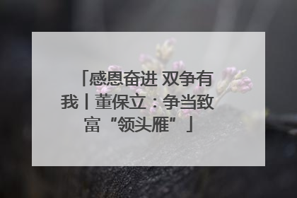 感恩奋进 双争有我丨董保立：争当致富“领头雁”