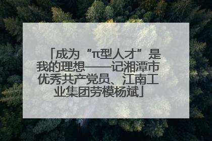 成为“π型人才”是我的理想——记湘潭市优秀共产党员、江南工业集团劳模杨斌