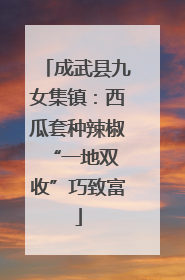 成武县九女集镇：西瓜套种辣椒 “一地双收”巧致富