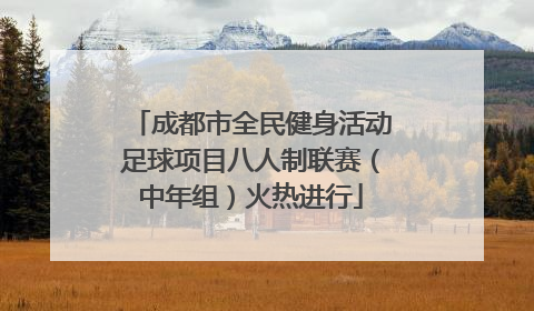 成都市全民健身活动足球项目八人制联赛（中年组）火热进行