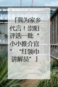 我为家乡代言！崇阳评选一批“小小推介官”“红领巾讲解员”