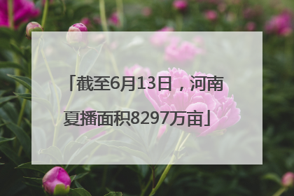 截至6月13日，河南夏播面积8297万亩