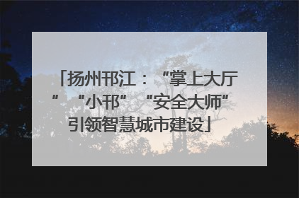 扬州邗江：“掌上大厅”“小邗”“安全大师”引领智慧城市建设