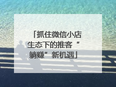 抓住微信小店生态下的推客“躺赚”新机遇