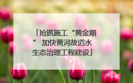 抢抓施工“黄金期” 加快黄河故道水生态治理工程建设