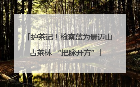 护茶记！检察蓝为景迈山古茶林 “把脉开方”