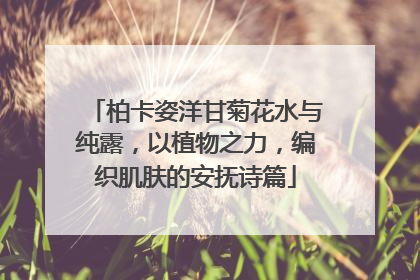 柏卡姿洋甘菊花水与纯露，以植物之力，编织肌肤的安抚诗篇