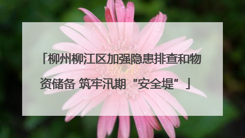 柳州柳江区加强隐患排查和物资储备 筑牢汛期“安全堤”