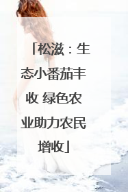 松滋：生态小番茄丰收 绿色农业助力农民增收
