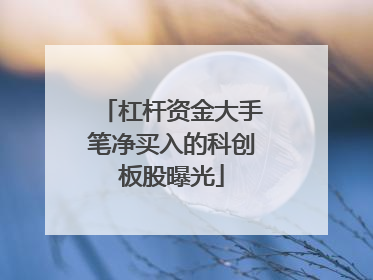 杠杆资金大手笔净买入的科创板股曝光