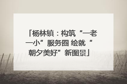 杨林镇：构筑“一老一小”服务圈 绘就“朝夕美好”新图景