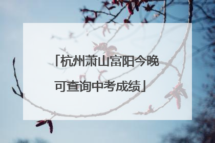 杭州萧山富阳今晚可查询中考成绩