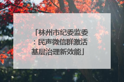 林州市纪委监委：民声微信群激活基层治理新效能