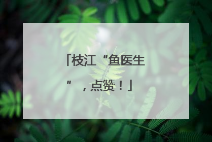 枝江“鱼医生”，点赞！