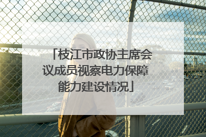 枝江市政协主席会议成员视察电力保障能力建设情况