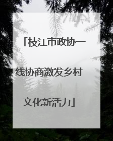 枝江市政协一线协商激发乡村文化新活力