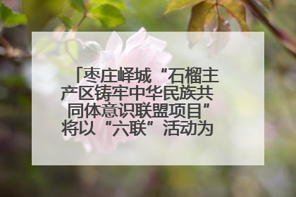 枣庄峄城“石榴主产区铸牢中华民族共同体意识联盟项目”将以“六联”活动为抓手深化品牌建设