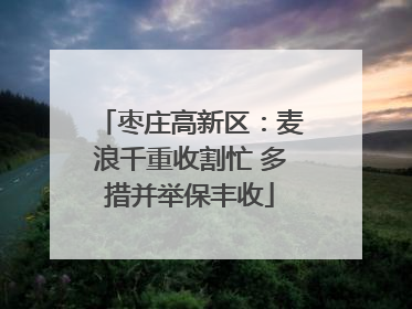 枣庄高新区：麦浪千重收割忙 多措并举保丰收